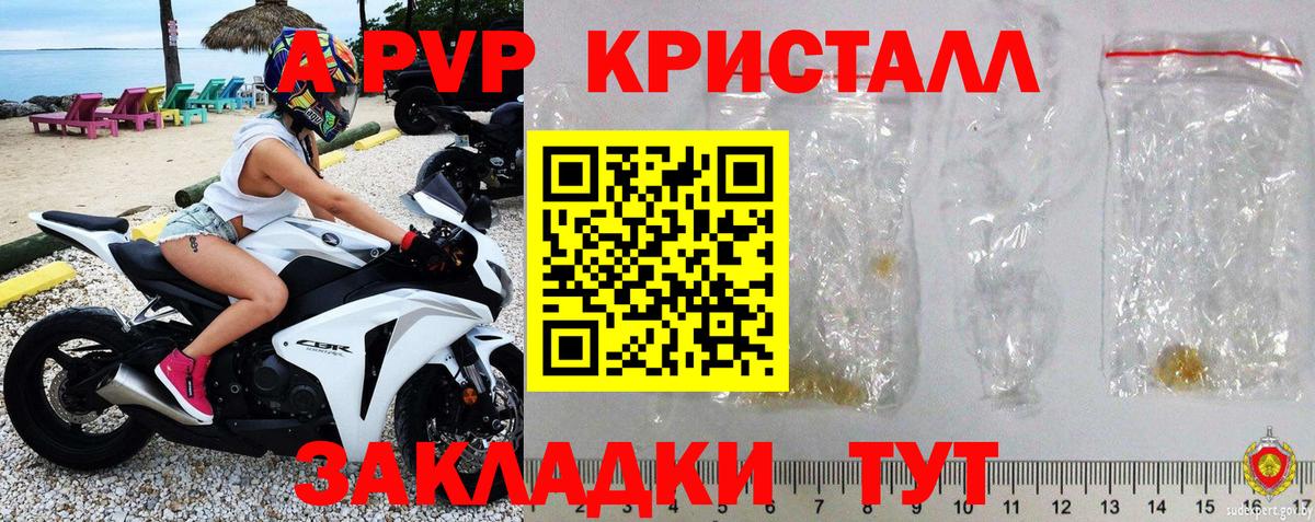 Alpha PVP СК КРИС Черняховск